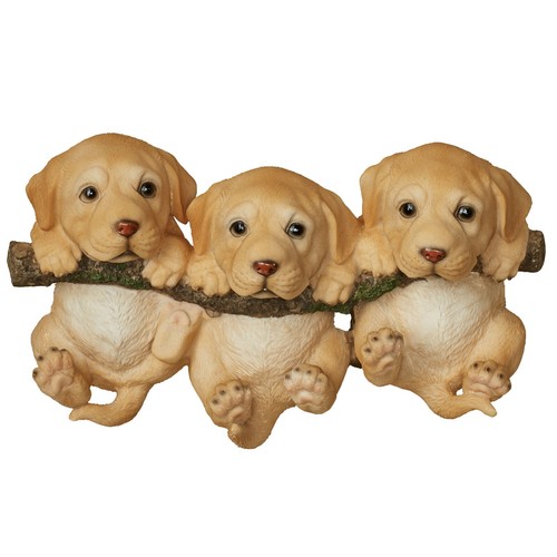 Adorable trio labrador - adorable,