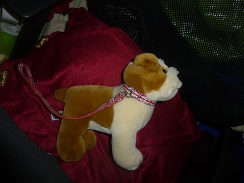 Paws bulldog puppy plush - bulldog, on