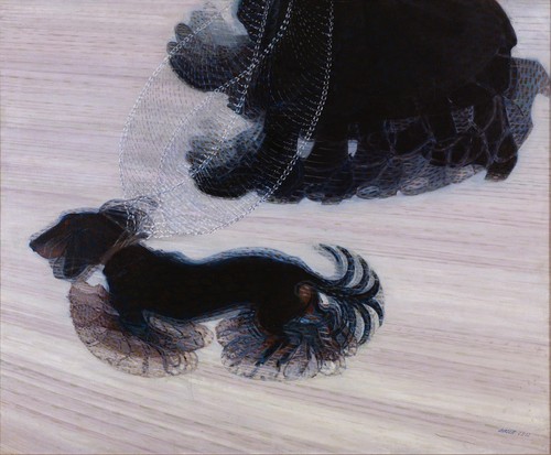 Dynamism dog a leash - dynamism,