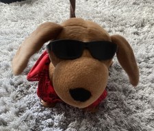 Singing and Walking Dog On A