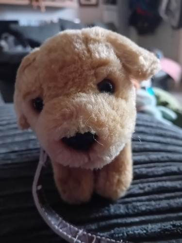 Keel toys small golden - keel,