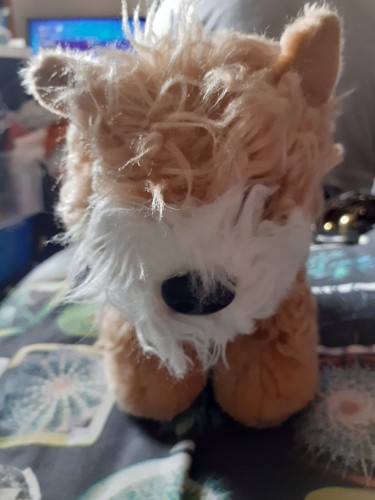 Keel toys jack russell - keel,
