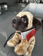 New Keel Pug On A Lead Cuddle