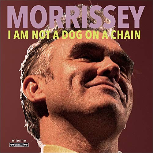 Morrissey not a dog on - i,
