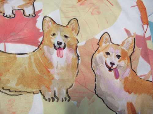 Corgi dog a button - corgi,