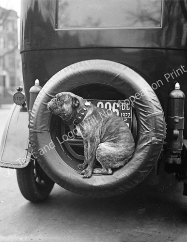 1922 dog spare tire - on,