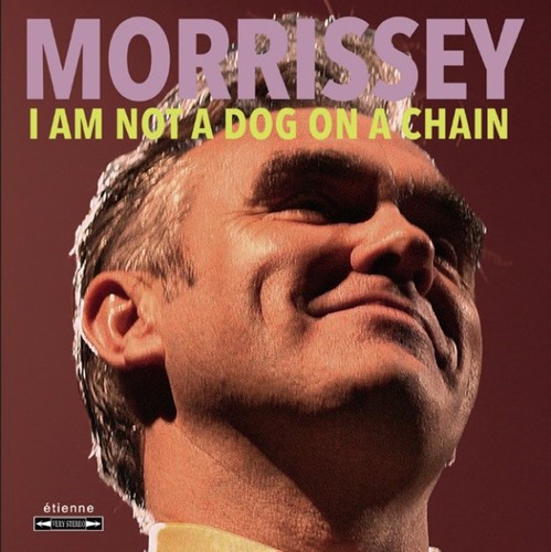 Morrissey not dog - dog, a